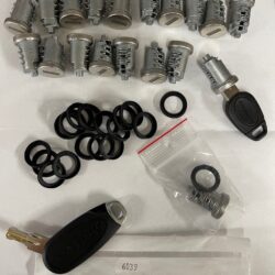 TRIMARK Caravan Motorhome "Snake Cut" Keys & Tumblers 6039 -SET OF 18-