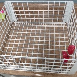KWIKEE Collapsible Storage Basket 905816030