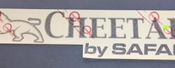 "CHEETAH by SAFARI" decal 03212513.628