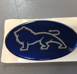 Blue & Silver SAFARI Epoxy decal