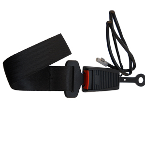 Safety Belt Latch 10007988