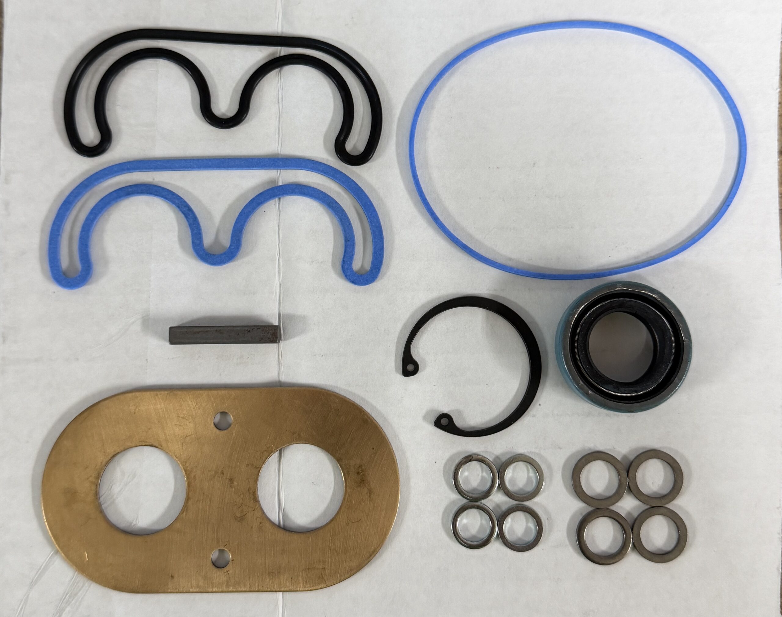 Danfoss 163S1014 Gear Pump and Motor Seal Kit